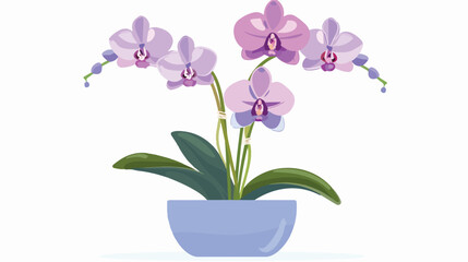 Orchid in Flower Pot flat vector isolated on white background