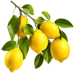 Fototapeten Fresh delicious lemons on branch, cut out © Yeti Studio