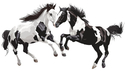 Piebald Horses Jumping flat vector isolated on white