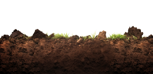 Black soil cut out