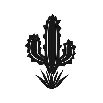   cactus silhouette 