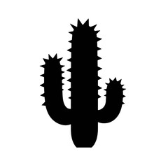  cactus silhouette 