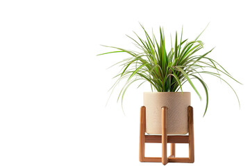 Plant Stand On Transparent Background.