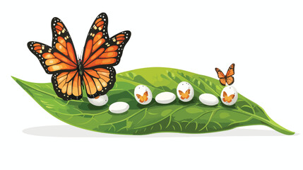 Realistic monarch butterfly life cycle stage with egg