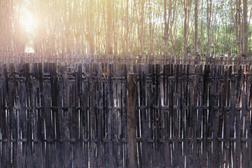 Vernacular architecture detail image show old wooden lattice panel fence with tropical forest background at evening summer time.