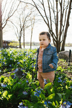 Toddler boy stands in flower field in spring sunshine with trees