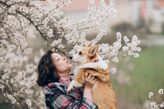 Young woman kissing corgi dog in almond blossom garden in Prague