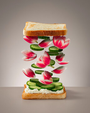 Levitating Sandwich Ingredients with Tulips and Cucumber