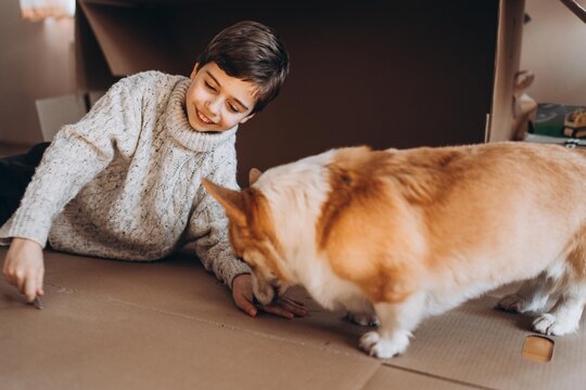boy cuts out cardboard with scissors, a corgi dog helps him