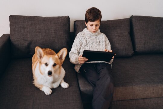 A boy and corgi dog sitting on the sofa with a tablet
