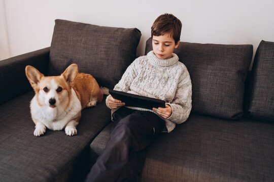 Teen boy and corgi dog sitting on the sofa with a tablet