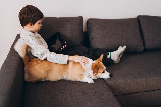 Teen boy and corgi dog watching game on tablet on sofa