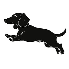 Dachshund dog. Vector black silhouette.