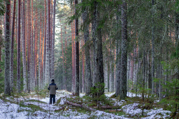 Fototapete bei efototapeten.de bestellen   