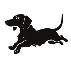 Dachshund dog. Vector black silhouette.