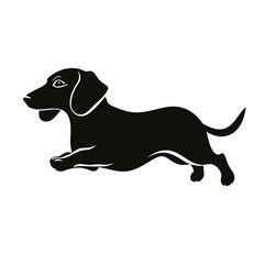 Dachshund dog. Vector black silhouette.