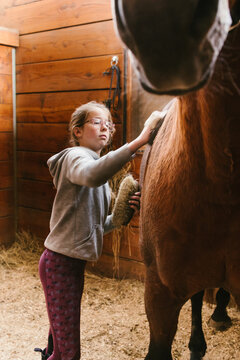 Girl brushing light brown horse in wood paneled stall