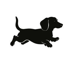 Dachshund dog. Vector black silhouette.