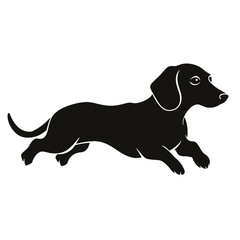 Dachshund dog. Vector black silhouette.