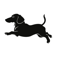 Dachshund dog. Vector black silhouette.