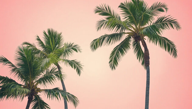 Palm trees over pastel background colorful background