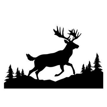 Deer leaping  Silhouette 