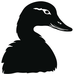 duck with sunglasses