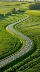 A long road with a curve in the middle of a green field. The road is empty and the grass is lush and green