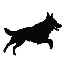  German shepherd dog silhouette isolated on a white background. Vector illustration