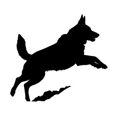 Defense German shepherd dog silhouette isolated on a white background. Vector illustration