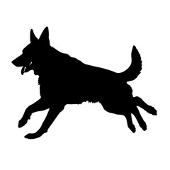 Defense German shepherd dog silhouette isolated on a white background. Vector illustration