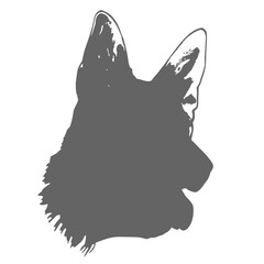 Vector Silhouette  portrait of a German shepherd dog on a white background