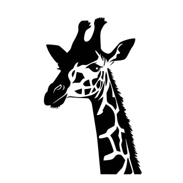 recommend clip art: Black silhouette of giraffe head and neck on white background. Vector african animal, isolated icon with giraffe animal face in simple style, decal, sticker. Concept for savannah safari, tattoo, zoo