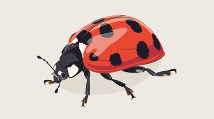 Cartoon ladybug flat vector isolated on white background