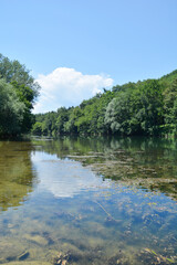 Fototapeta na wymiar Detail of river Kupa near Orljakovo in Croatia