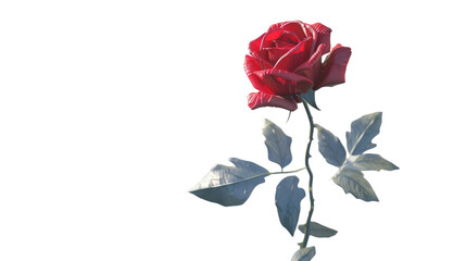 Single Red Rose on Transparent Background PNG