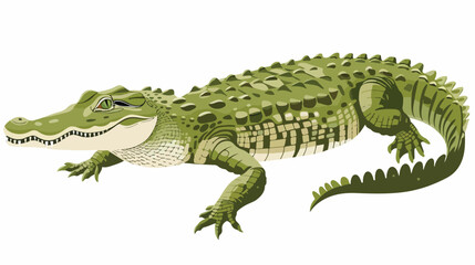 Crocodile isolated on white background .. flat vector - obrazy, fototapety, plakaty