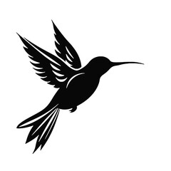 hummingbird illustration