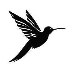 hummingbird illustration