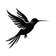 hummingbird illustration