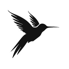 hummingbird illustration