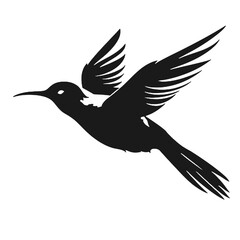 hummingbird illustration