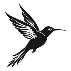 hummingbird Silhouette 