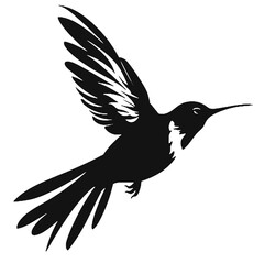 hummingbird Silhouette 