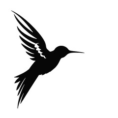 hummingbird Silhouette 