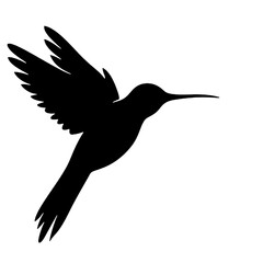 hummingbird Silhouette 