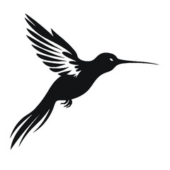 hummingbird Silhouette 