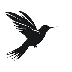 hummingbird Silhouette 