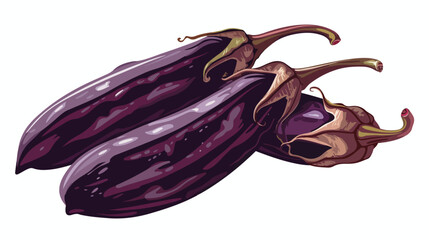 Dried eggplant isometric icon vector. dried eggplant