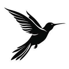 hummingbird Silhouette 